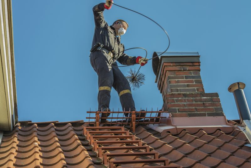 Chimney Birds Removal