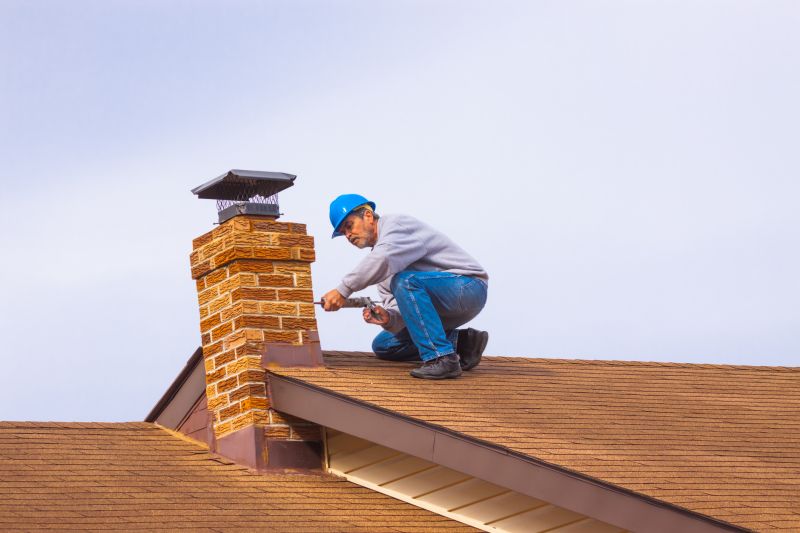Bird-proof Chimney Repair