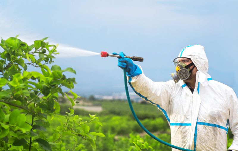 Roach Fumigation in Bellingham, WA