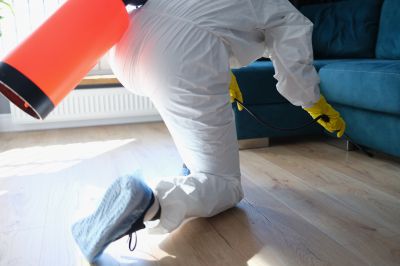 Roach Fumigation in Oklahoma City, OK