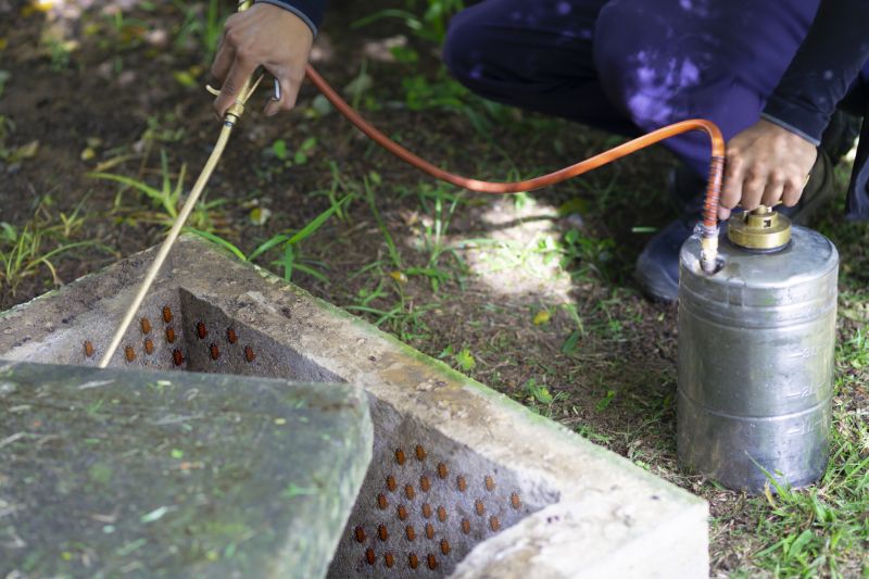 Spider Fumigation Service in San Jose, CA